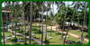 Royal Palms Beach Hotel 
